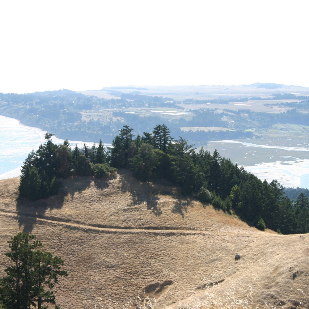 Meet your Posher, Vivicka